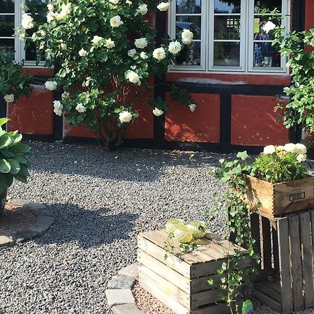 Sollested  Lolland Bed & Breakfast المظهر الخارجي الصورة