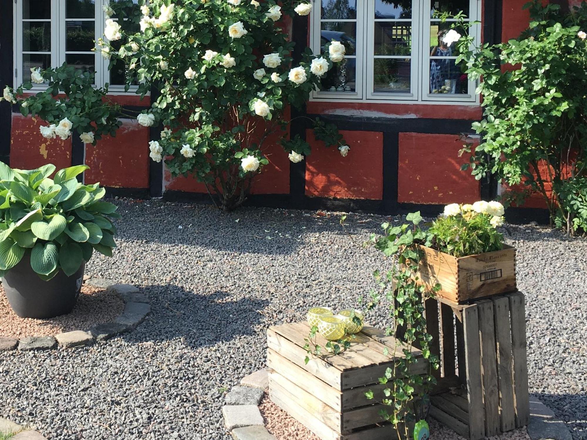 Sollested  Lolland Bed & Breakfast المظهر الخارجي الصورة