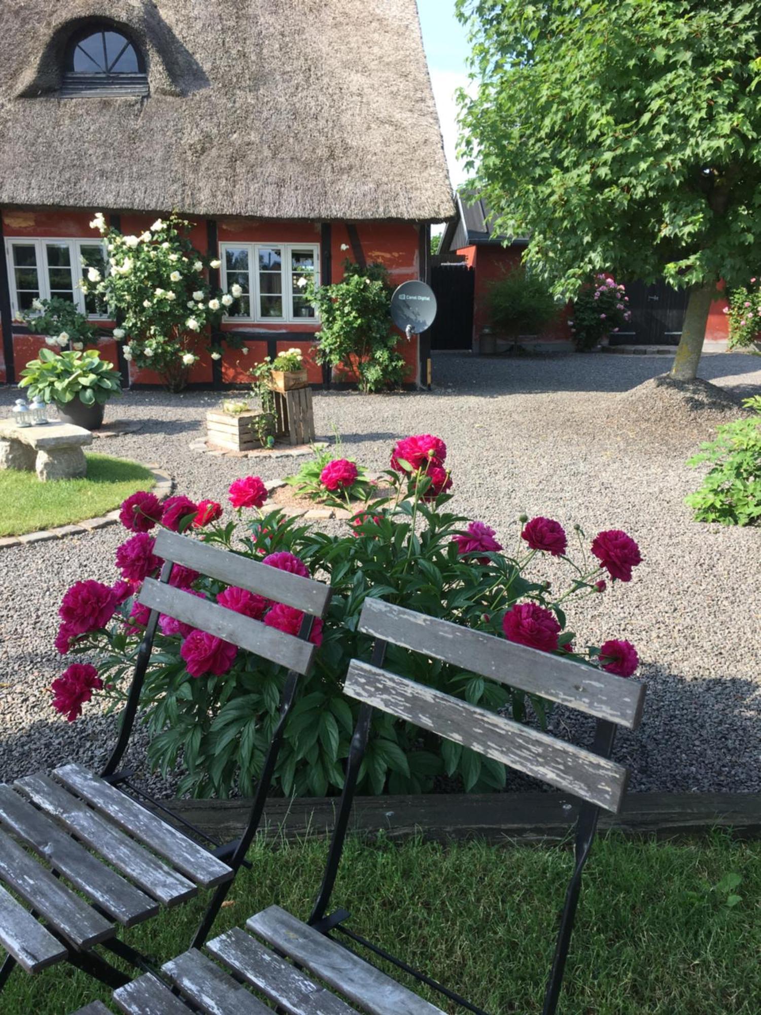 Sollested  Lolland Bed & Breakfast المظهر الخارجي الصورة